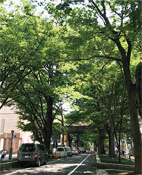Keyaki-namiki Avenue in front of Fuchu Station