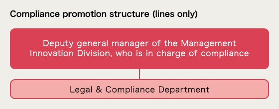 CSR and compliance promotion structure (lines only)
