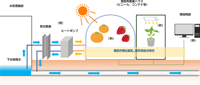 下水処理水熱を活用した場合の栽培作物と栽培施設のイメージ