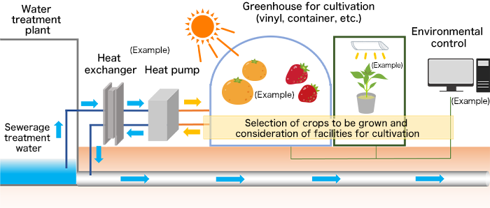 Image of crops to be grown and facilities for cultivation in the case where sewerage treatment water heat is used