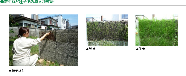 芝生など種子での導入が可能、種子塗布、発芽、生育