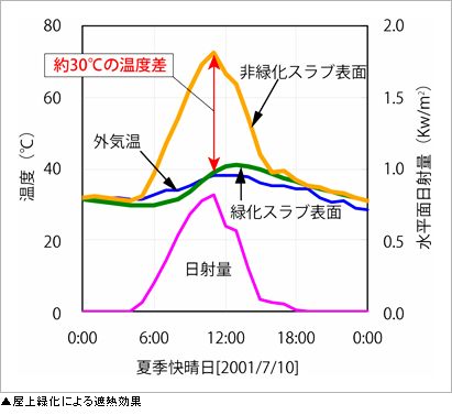 屋上緑化による遮熱効果