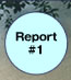 Report#1