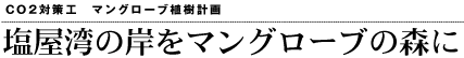 CO2対策工　マングローブ植樹計画　塩屋湾の岸をマングローブの森に