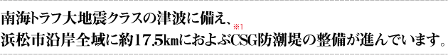 南海トラフ大地震クラスの津波に備え、浜松市沿岸全域に約17.5㎞におよぶCSG防潮堤の整備が進んでいます。