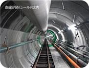 <写真>