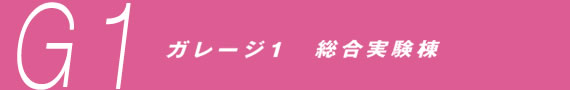 <写真>