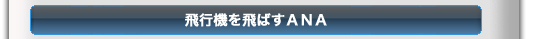 飛行機を飛ばすＡＮＡ
