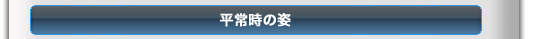 平常時の姿