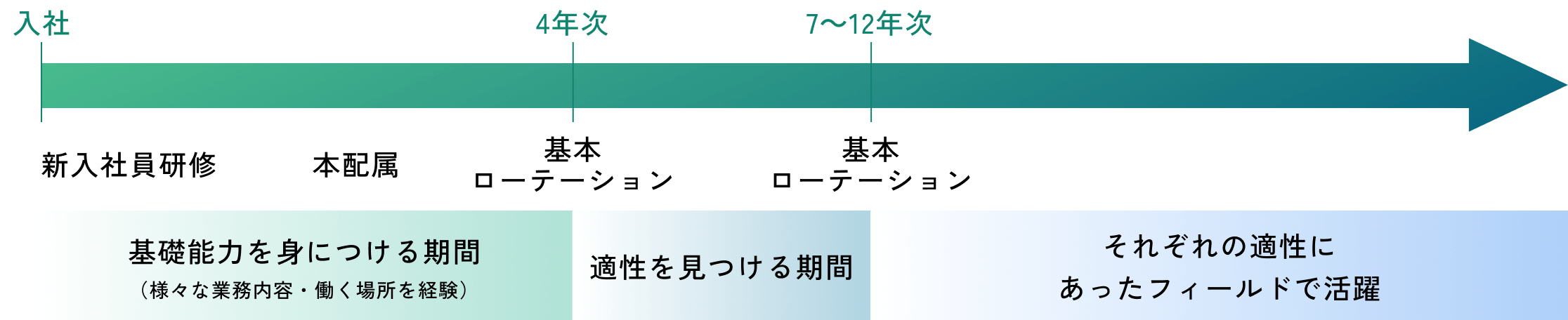 ジョブローテーションの全体図