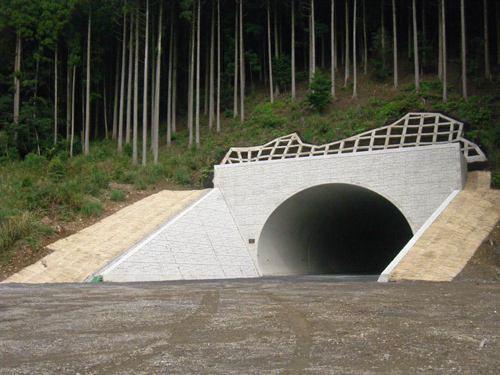 東九州道（佐伯～蒲江）大越トンネル新設工事